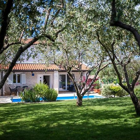 Casa Di Oliva Villa Brtonigla Bagian luar foto