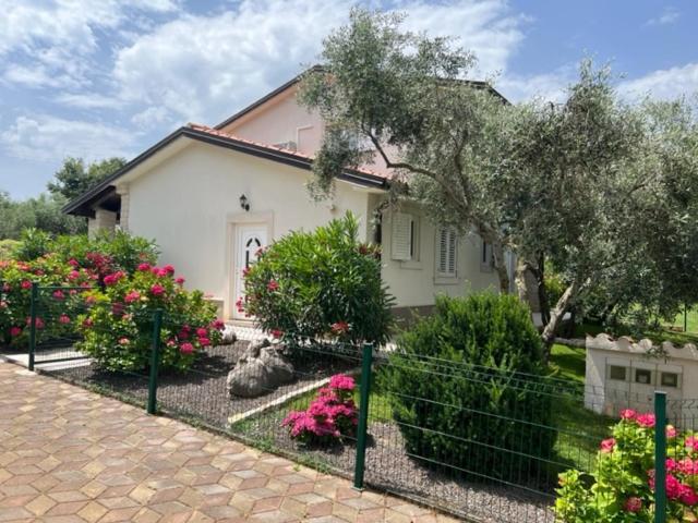 Casa Di Oliva Villa Brtonigla Bagian luar foto